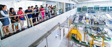 牛奶煮沸為何不見奶皮？餐飲企業(yè)這樣解答市民疑問